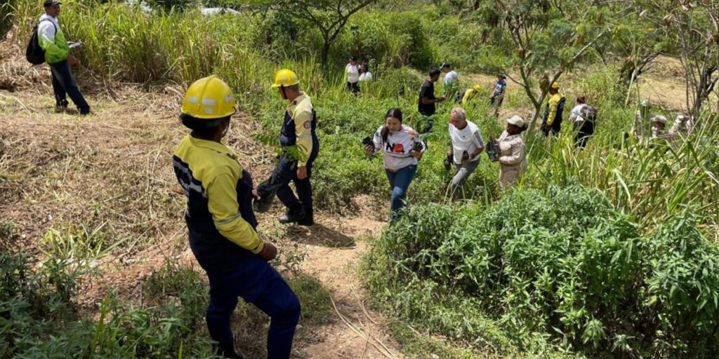 Más-de-74-mil-plantas-sembradas-en-jornada-masiva-de-reforestación-en-el-país