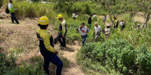 Más-de-74-mil-plantas-sembradas-en-jornada-masiva-de-reforestación-en-el-país