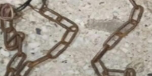 Maltrato,-cautiverio-y-abuso-contra-tres-niños-en-Mérida-agresiones-que-permitió-la-madre