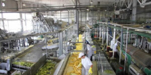 Micro-pequeñas-y-medianas-industrias-constituyen-70-de-la-producción-nacional