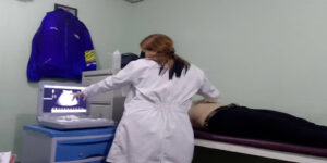 INSA