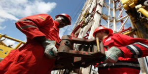 PETROLEO
