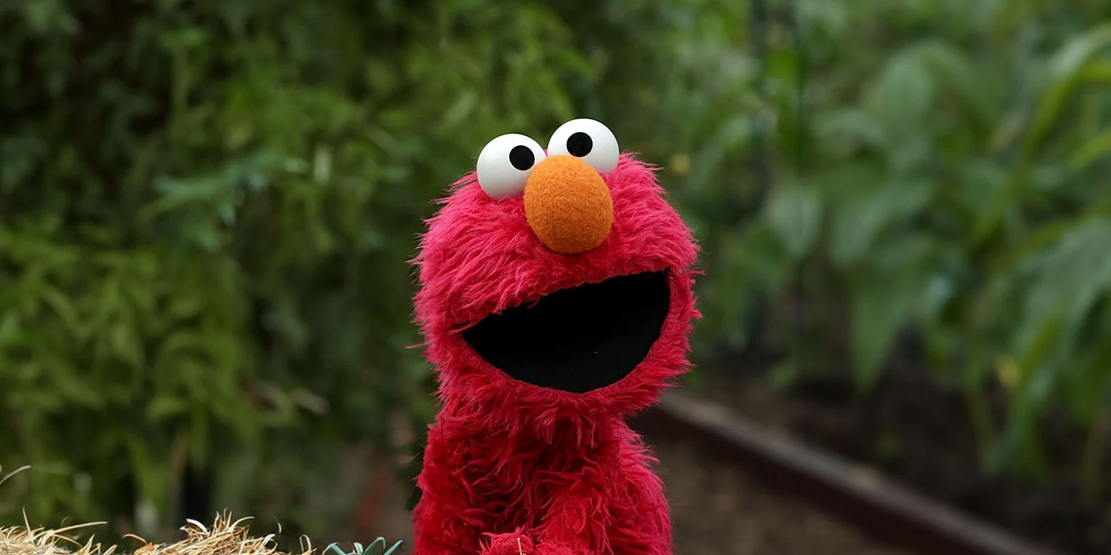 ELMO