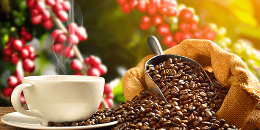 caf