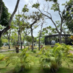 ​Parque La Guaricha como terapia de serenidad y bienestar emocional para afectados por sismos