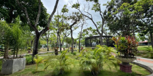 PARQUE