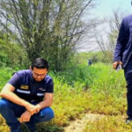 Autoridades de Anzoátegui buscan al grupo de motorizados que atacaron a un oso melero