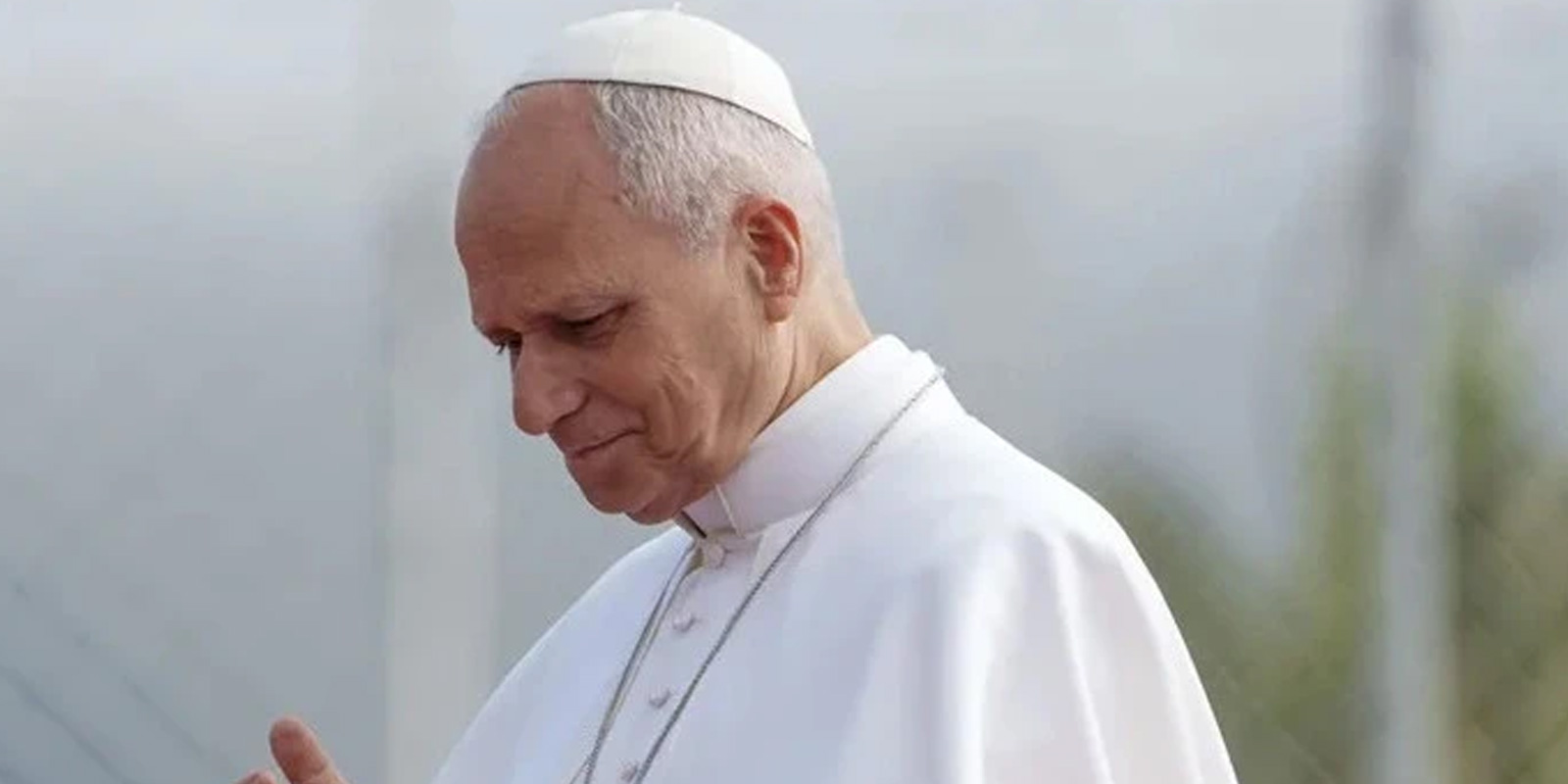 PAPA