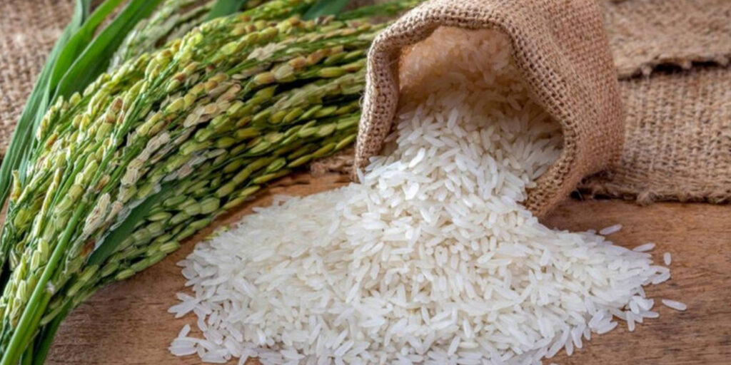 arroz