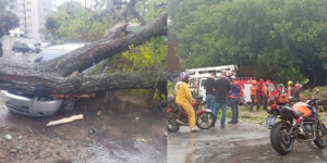 LLUVIA