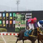 Sunahip digitaliza la regulación de las apuestas hípicas y deportivas